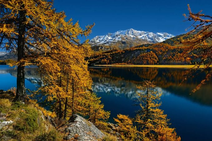 Der Silvaplanersee weiss auch wie das mit dem "Indian Summer" geht Silvaplanersee