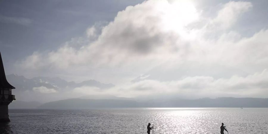 Zwei Stand Up Paddler auf dem Thunersee: Dieser leise Sport kann Wasservögel und andere Wildtiere empfindlich stören. Sport- und Naturschutzkreise haben nun Empfehlungen erarbeitet, um diese Störungen zu reduzieren. (Archivbild)