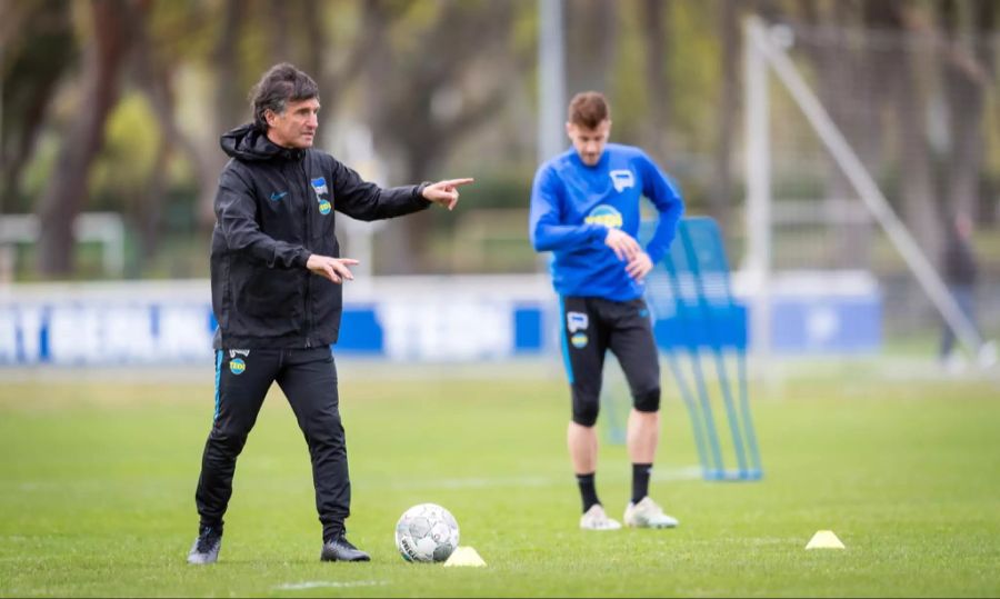 Bruno Labbadia Hertha Berlin