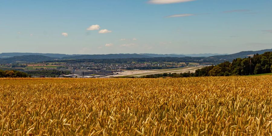 Landwirtschaft in der Region Kloten.