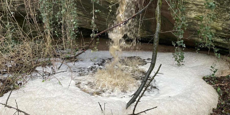 Verschmutzung des Baches «Crêt Moron» in Châbles