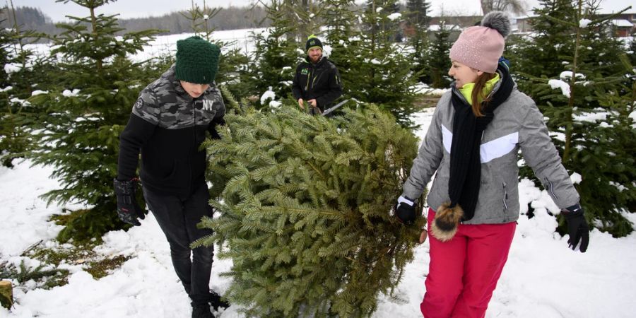 Weihnachtsbaum