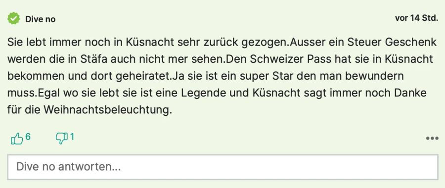 «Dive no» glaubt, dass die Stäfnerinnen und Stäfner nicht viel von Tina Turner zu sehen bekommen werden.