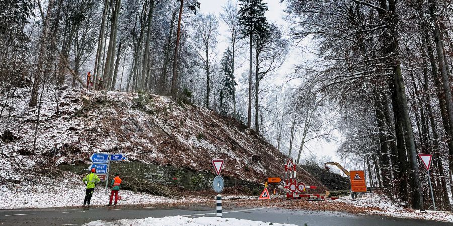 Schweizer Forstwirtschaft. Holzschlag- und Waldarbeiten im Winter. (Symbolbild)