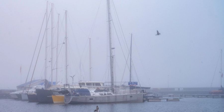 Boote liegt im Hafen vor Anker in Stralsund: Das Wetter in Mecklenburg-Vorpommern zeigt sich den kommenden Tagen eher von der grauen und bewölkten Seite.