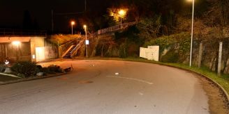 Horgen ZH - E-Bike-Lenker bei Selbstunfall schwer verletzt