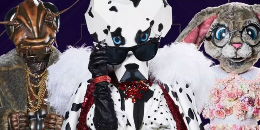 Kostüme The Masked Singer