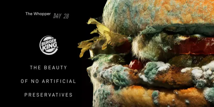 Schimmliger Whopper Burger King Mit Ungewohnlicher Werbung