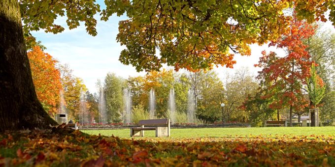 Der Kurpark Bad Zurzach. - Bad Zurzach Tourismus AG Der Kurpark Bad Zurzach. - Bad Zurzach Tourismus AG