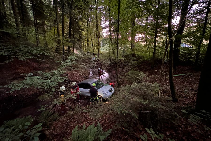 Die Feuerwehr brachte das Auto aus dem Wald heraus.