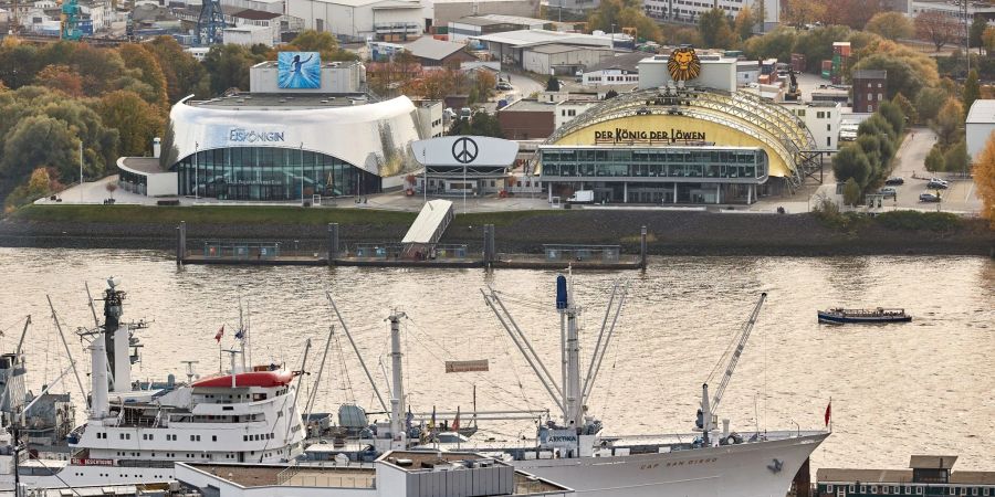 Blick auf die Stage-Musical-Theater «Die Eiskönigin» (l) und «Der König der Löwen» im Hamburger Hafen.