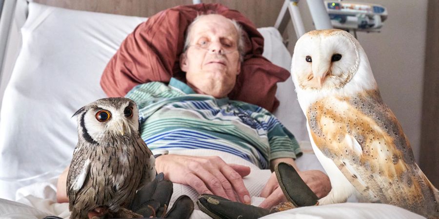 Horst Demsky ist Bewohner im Hospiz St. Martin in Koblenz und hat in seinem Bett Besuch von Schleiereule Emma und Weissgesichtseule Merlin.