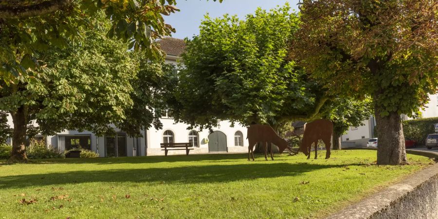 Das Gemeindehaus an der Leymenstrasse in Rodersdorf (SO).