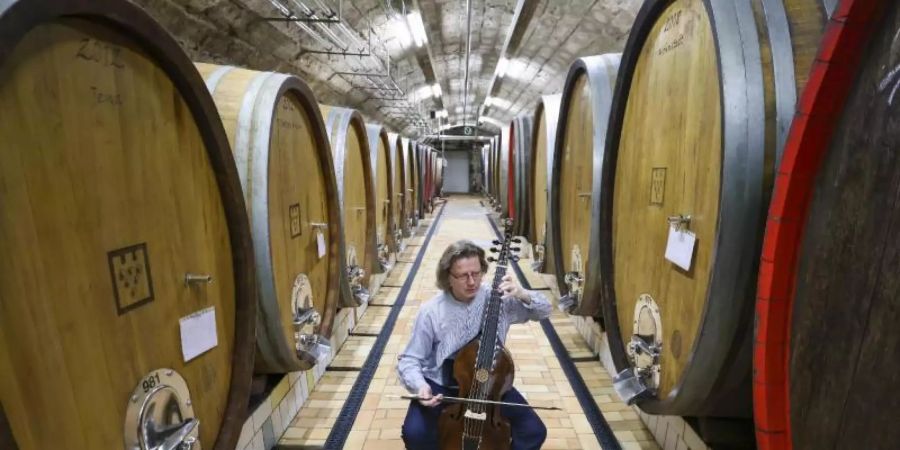 Klassik-Echo-Preisträger Thomas Fritzsch spielt auf einer Gamba Musik von Telemann im Fasskeller der Winzervereinigung Freyburg. Foto: Jan Woitas/dpa-Zentralbild/dpa
