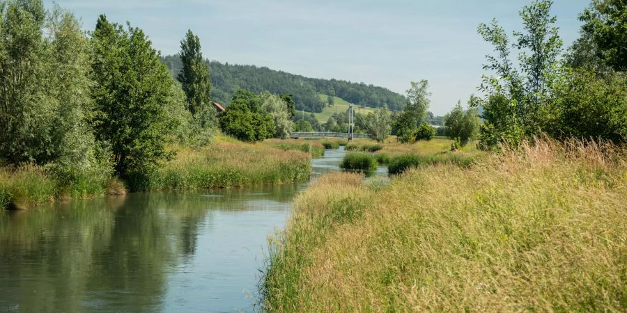 Der Kanal in der Gemeinde Rüthi (SG).