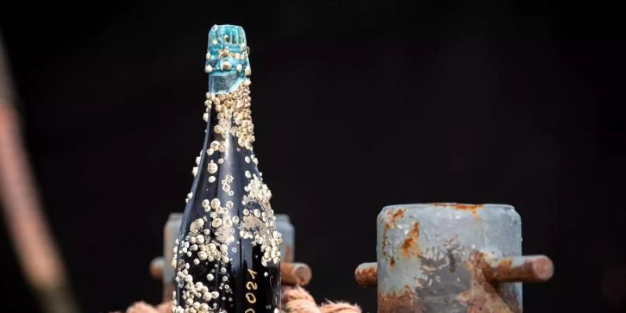 Das Piraten-Bier soll etwas milder im Geschmack sein. Foto: Sina Schuldt/dpa