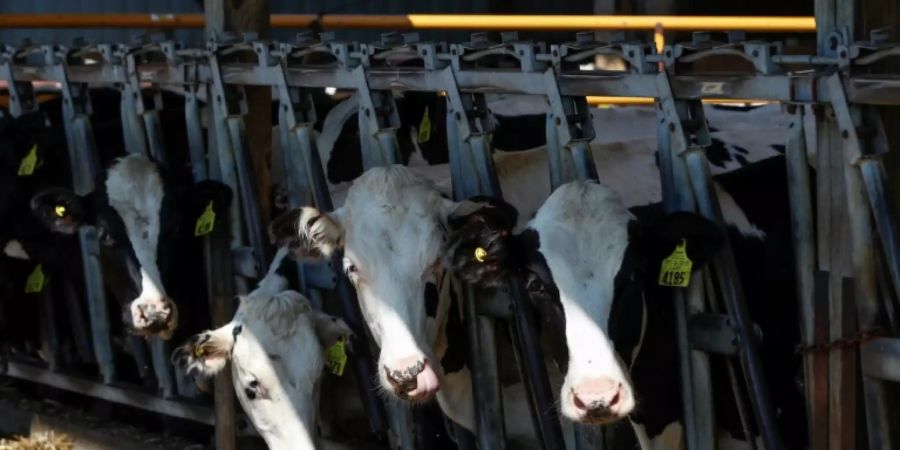 Verpflichtende Angabe zur Herkunft von Lebensmitteln laut EuGH rechtens