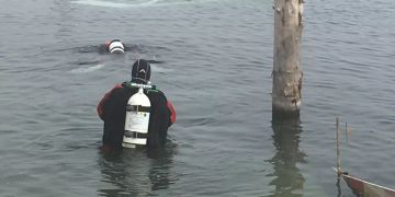bodensee jährige