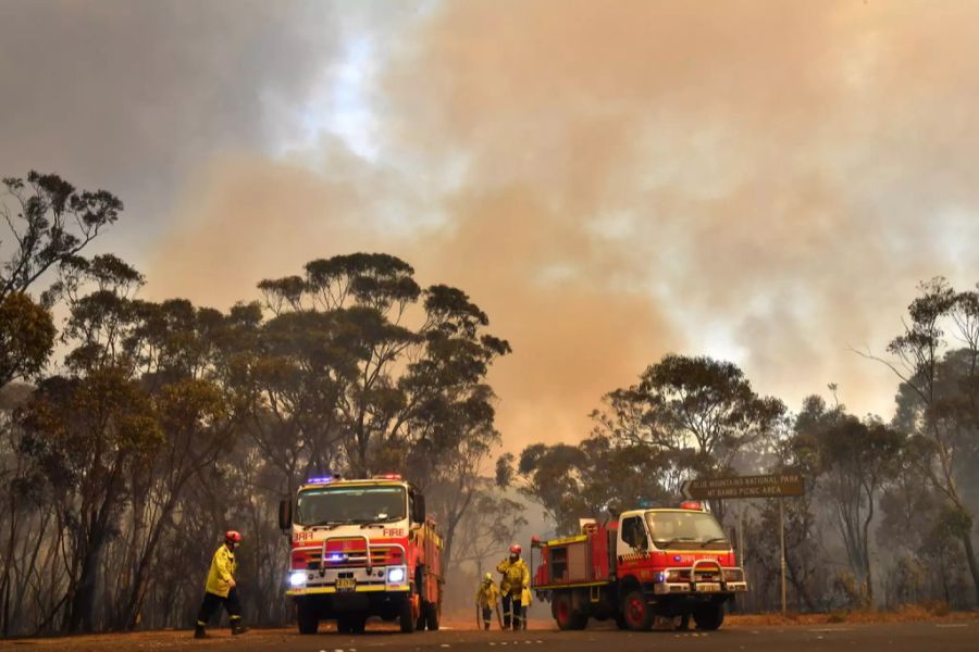 buschfeuer sydney