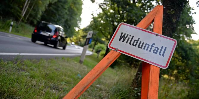 wildunfall