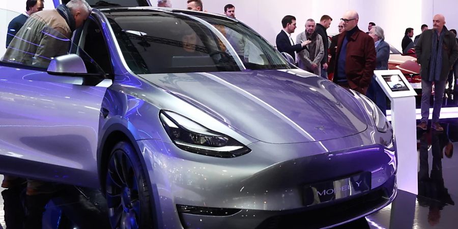Model Y