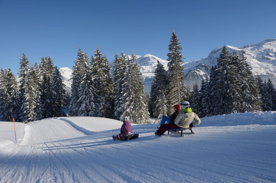 Winter Schnee Ausflüge