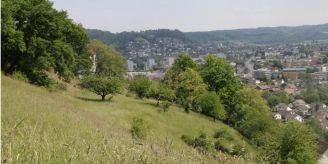 Politik - FDP Aarau beantragt Rückweisung der KSAB-Rechnung 2024