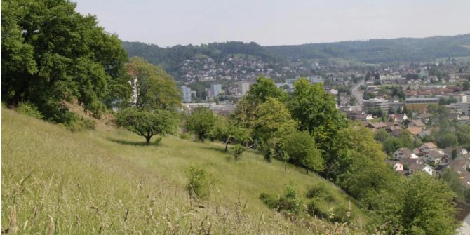 Landschaft Aarau