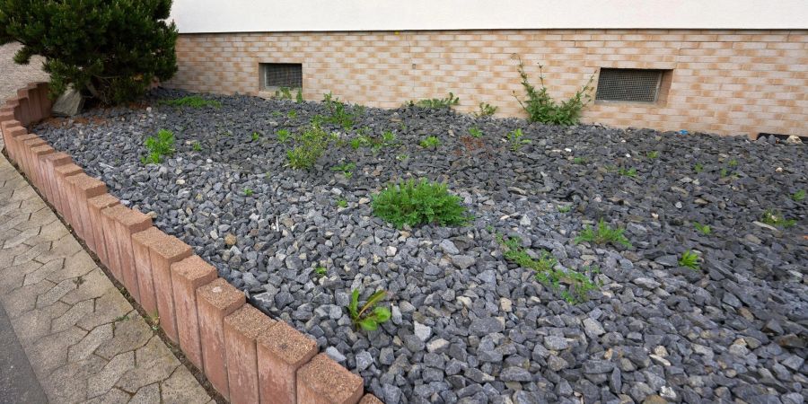 Sind Schottergärten schön anzusehen oder nicht? Darüber scheiden sich die Geister. Weil sie aber nicht zur Biodiversität beitragen, verbieten einige Bauordnungen sie.