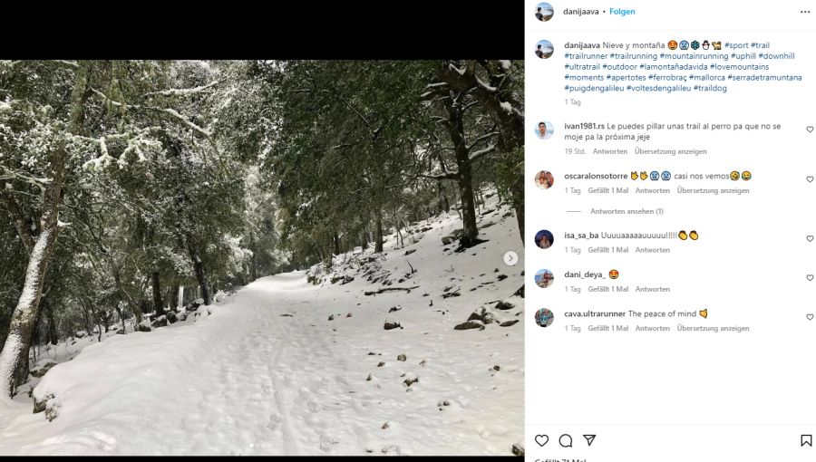 Ein Waldspaziergang im Schnee bietet sich derzeit auf Mallorca an.