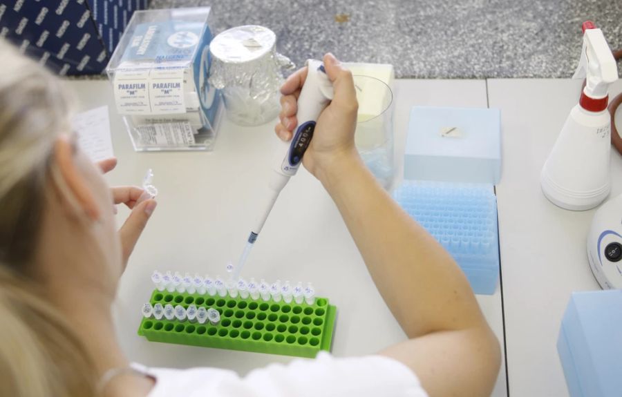 E.Coli und Bacillus cereus können beim Verzehr von kontaminierten Lebensmitteln ab einem gewissen Wert Durchfall und Erbrechen verursachen. (Symbolbild)