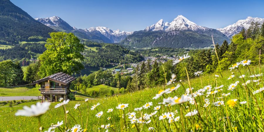 Schweizer Berge mit Holzhütte