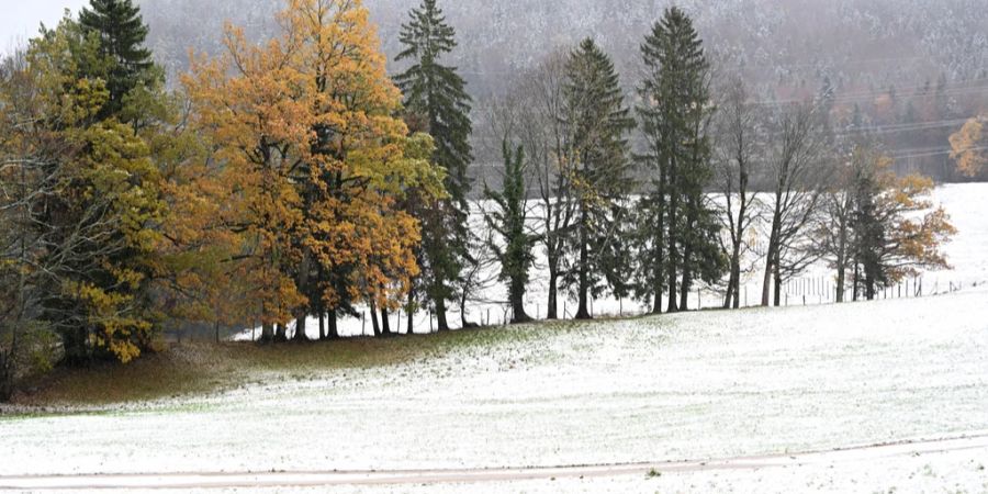 Am Freitag kann es am Alpennordhang und in Nordbünden bereits oberhalb von 800 Metern schneien.