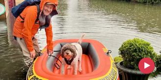 Hochwasser - Bewohnerin von Giswil OW musste «Böötli» für Hund kaufen