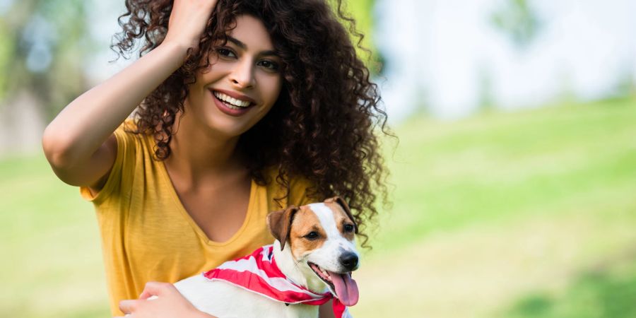 Hund Haare