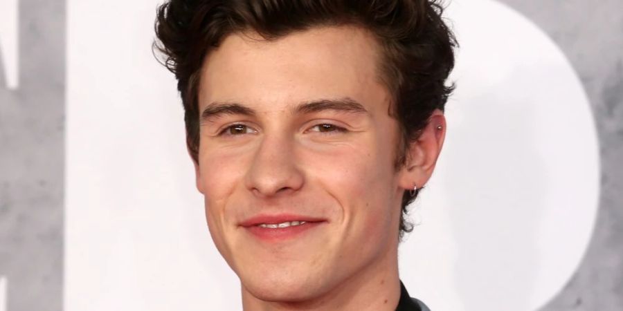 Shawn Mendes wird bei den diesjährigen Oscars auf der Bühne stehen.