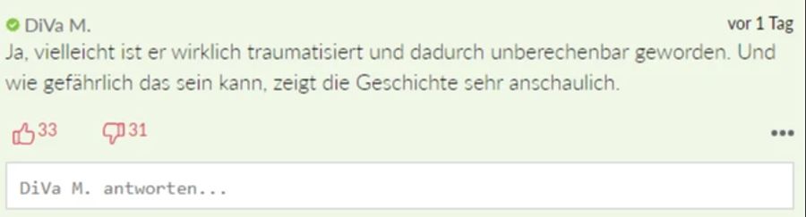 «DiVa M.» sagt: Wie gefährlich eine traumatisierte Kindheit sein könne, zeige die Geschichte.