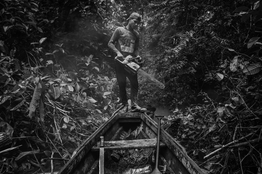 world photo press 2022