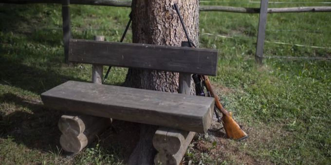Ein Gewehr lehnt an einem Baum. (Symbolbild) Junioren Weltmeister hund jäger