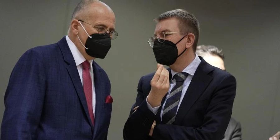 Lettlands Aussenminister Edgars Rinkevics (rechts) hatte nach einem Appell der Ukraine an Ausländer, freiwillig mitzukämpfen, das Parlament angerufen. (Im Bild mit Polens Aussenminister Zbiegniew Rau). Foto: Virginia Mayo/AP/dpa