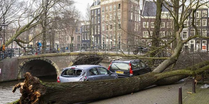 Ein Baum ist infolge des Sturms «Eunice» im Zentrum von Amsterdam umgestürzt. Foto: Ramon Van Flymen/ANP/dpa Ein Baum ist infolge des Sturms «Eunice» im Zentrum von Amsterdam umgestürzt. Foto: Ramon Van Flymen/ANP/dpa