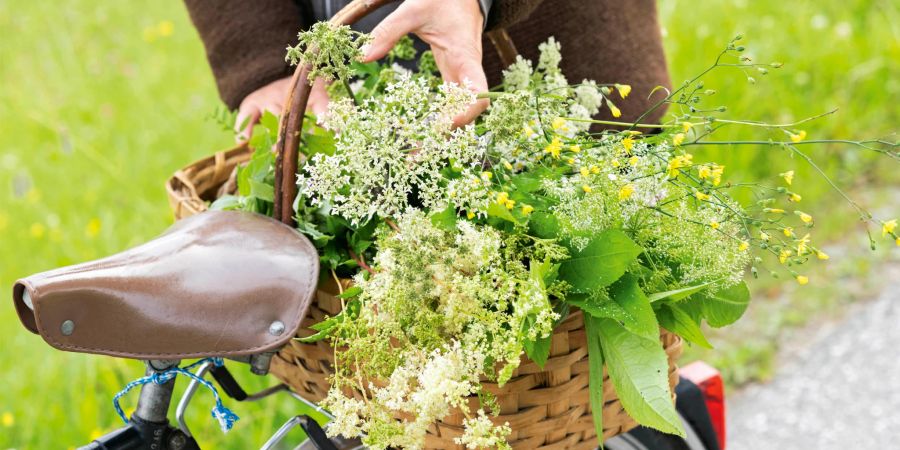 Velo Sattel Korb Wildkräuter Blüten