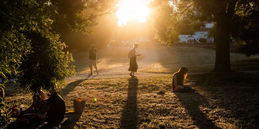 Die Abendsonne bescheint einen der trockenen, staubigen Wege im Frankfurter Günthersburgpark.