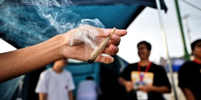 Cannabis-Festival in Thailand Cannabis-Festival in Thailand