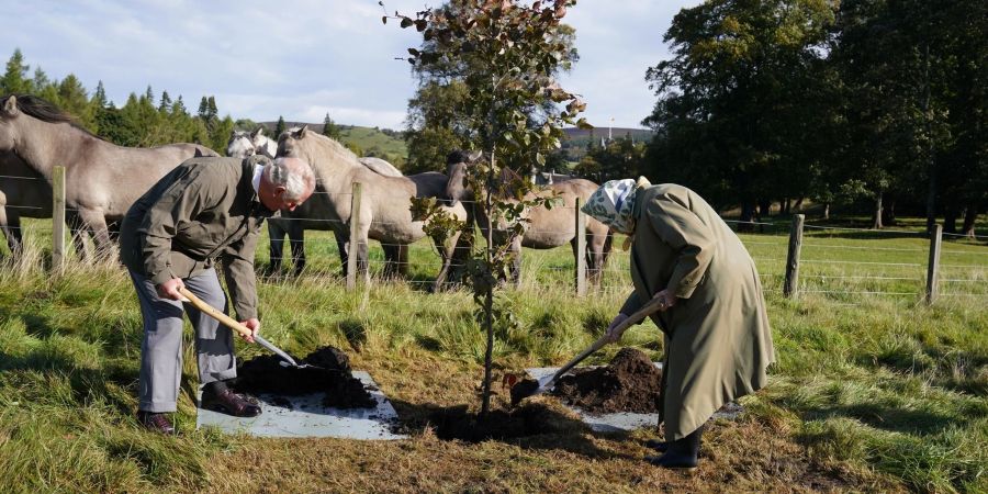 Königin Elizabeth II. und Prinz Charles pflanzen 2021 auf Schloss Bamoral für «Queen's Green Canopy» einen Baum.