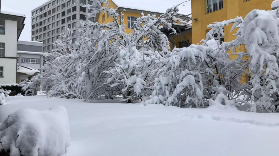 Auch Lenzburg AG versinkt im Schnee.