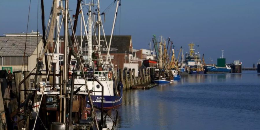 Fischkutter in Cuxhaven