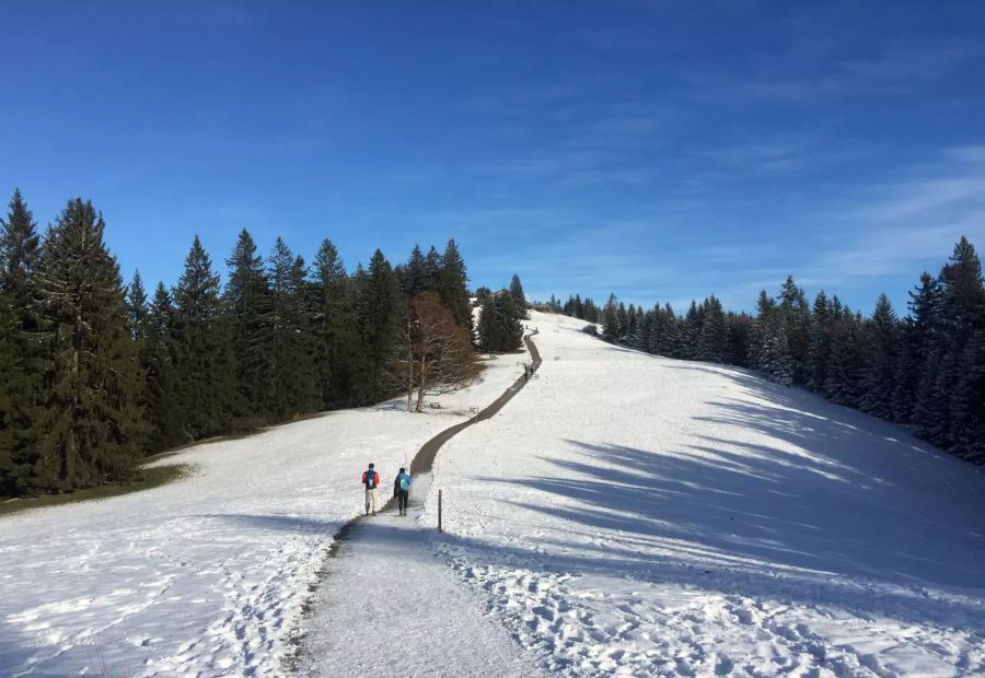 Auf 1500 Metern liegt die Durchschnittstemperatur Mitte November bei rund zwei Grad. Bei minus 6 bis minus 10 Grad könnte man laut Meteo Schweiz von einem Wintereinbruch sprechen.