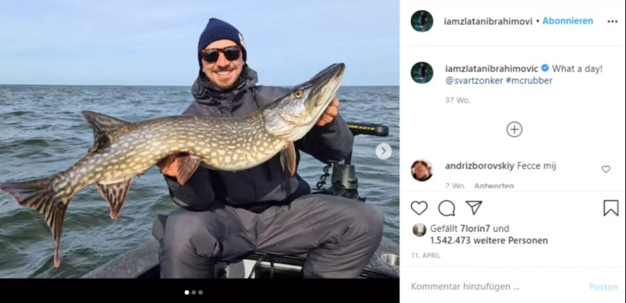 Zlatan Ibrahimovic ist ein begeisterter Hobby-Fischer.