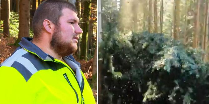 bauer ledig sucht